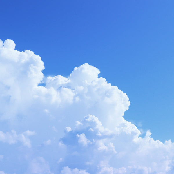 【二十四節気】小暑(しょうしょ)