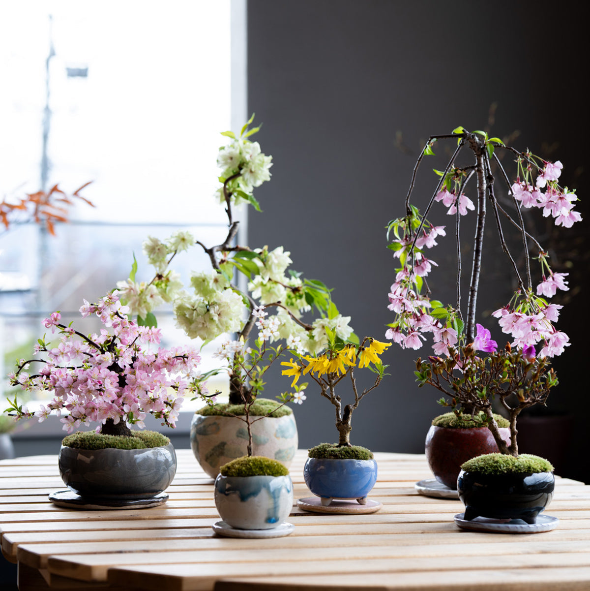 DSC07382_cd6c6769-5d6c-4578-