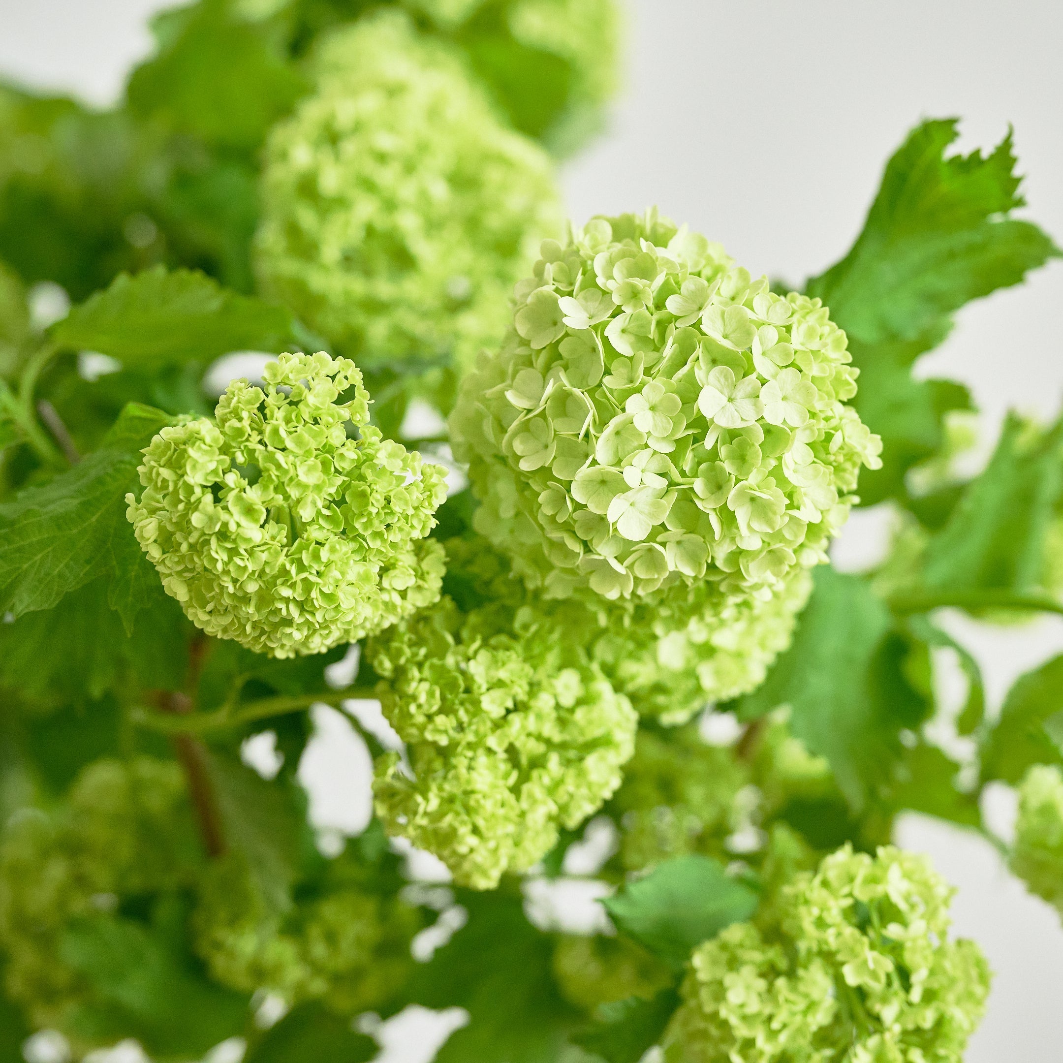 DSC_8479_67317b27-abec-4310-