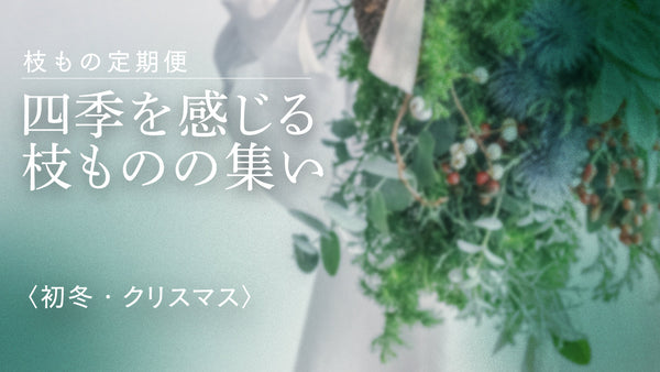 【枝もの定期便イベント】四季を感じる枝ものの集い〈初冬・クリスマス〉