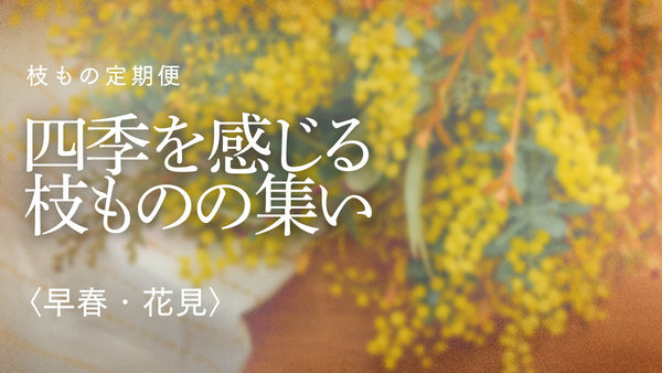 【枝もの定期便イベント】四季を感じる枝ものの集い〈2024早春・花見〉