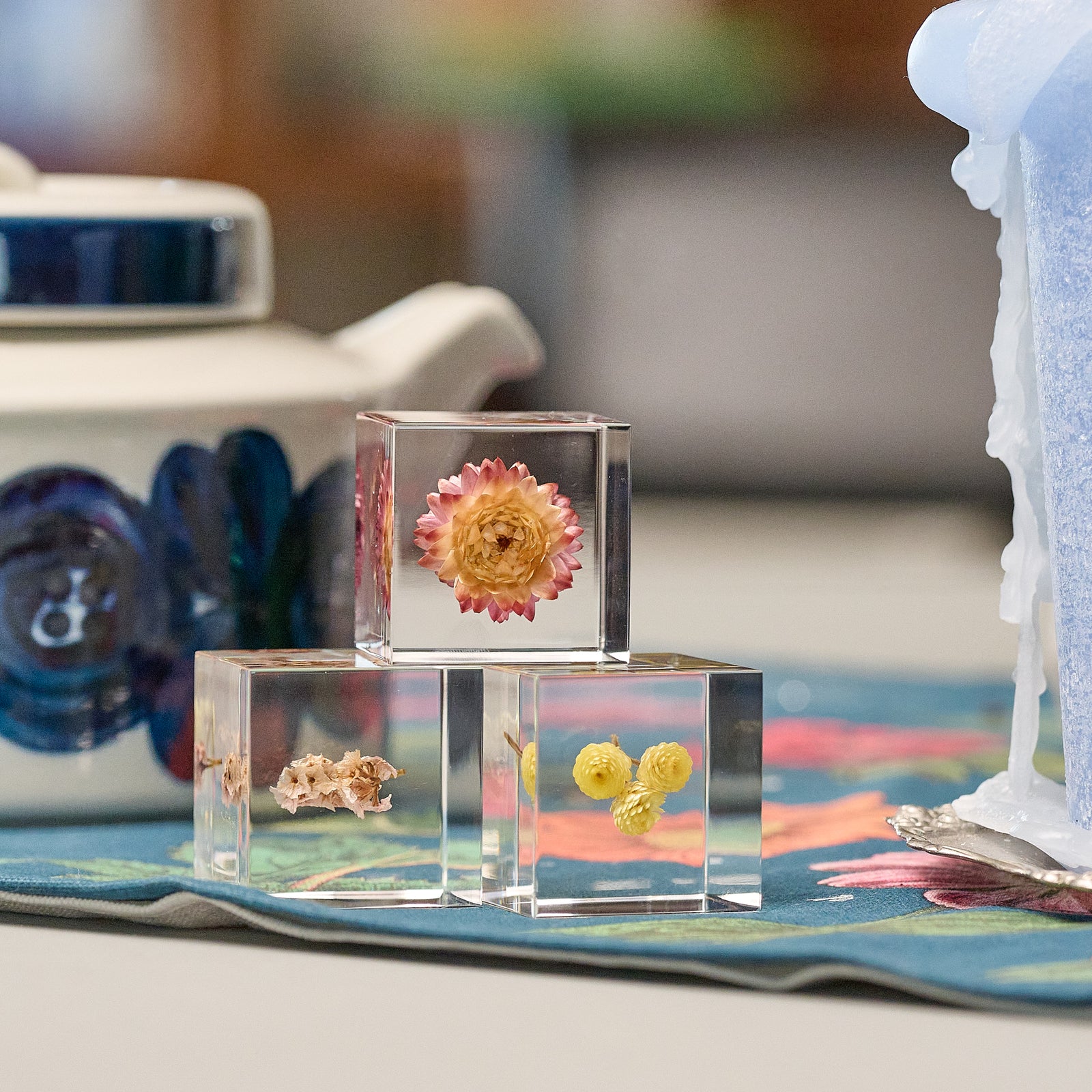 Sola cube / 夏 | 静かに時を止めた植物のかたち