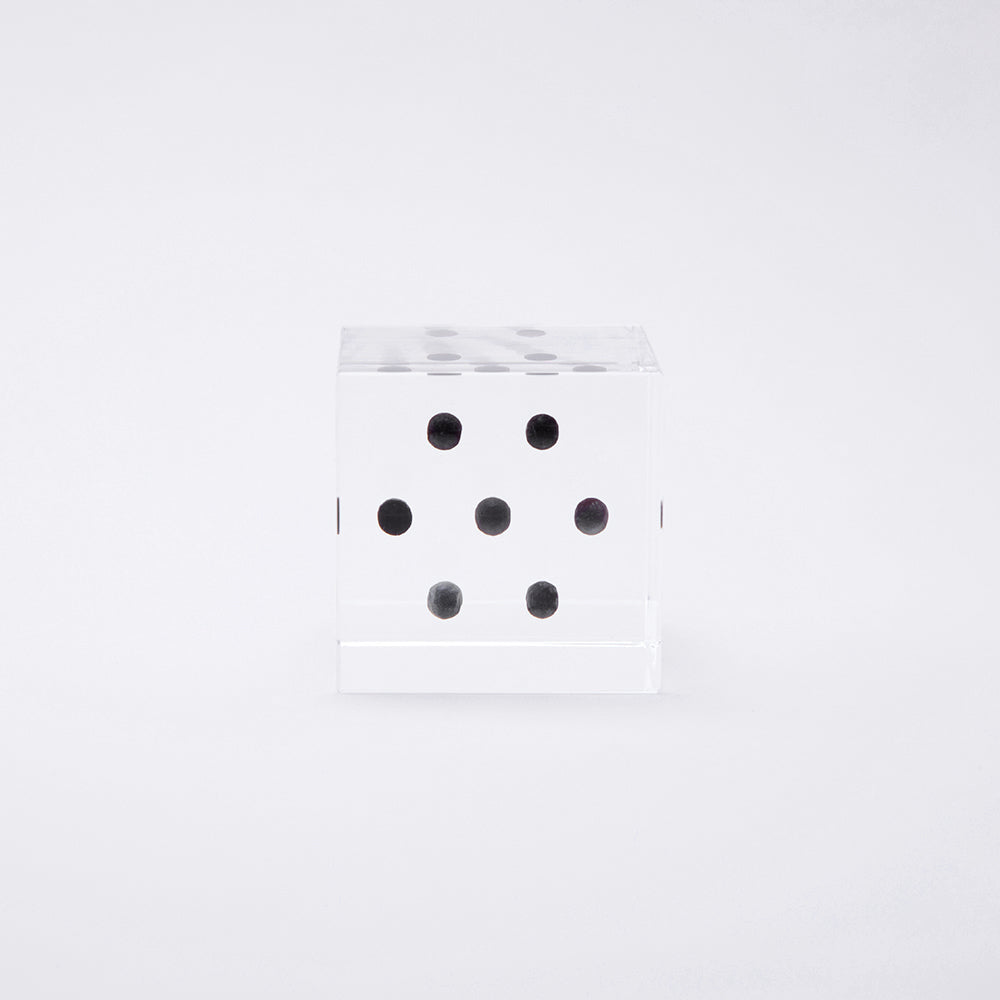 Sola cube / 秋 | 静かに時を止めた植物のかたち