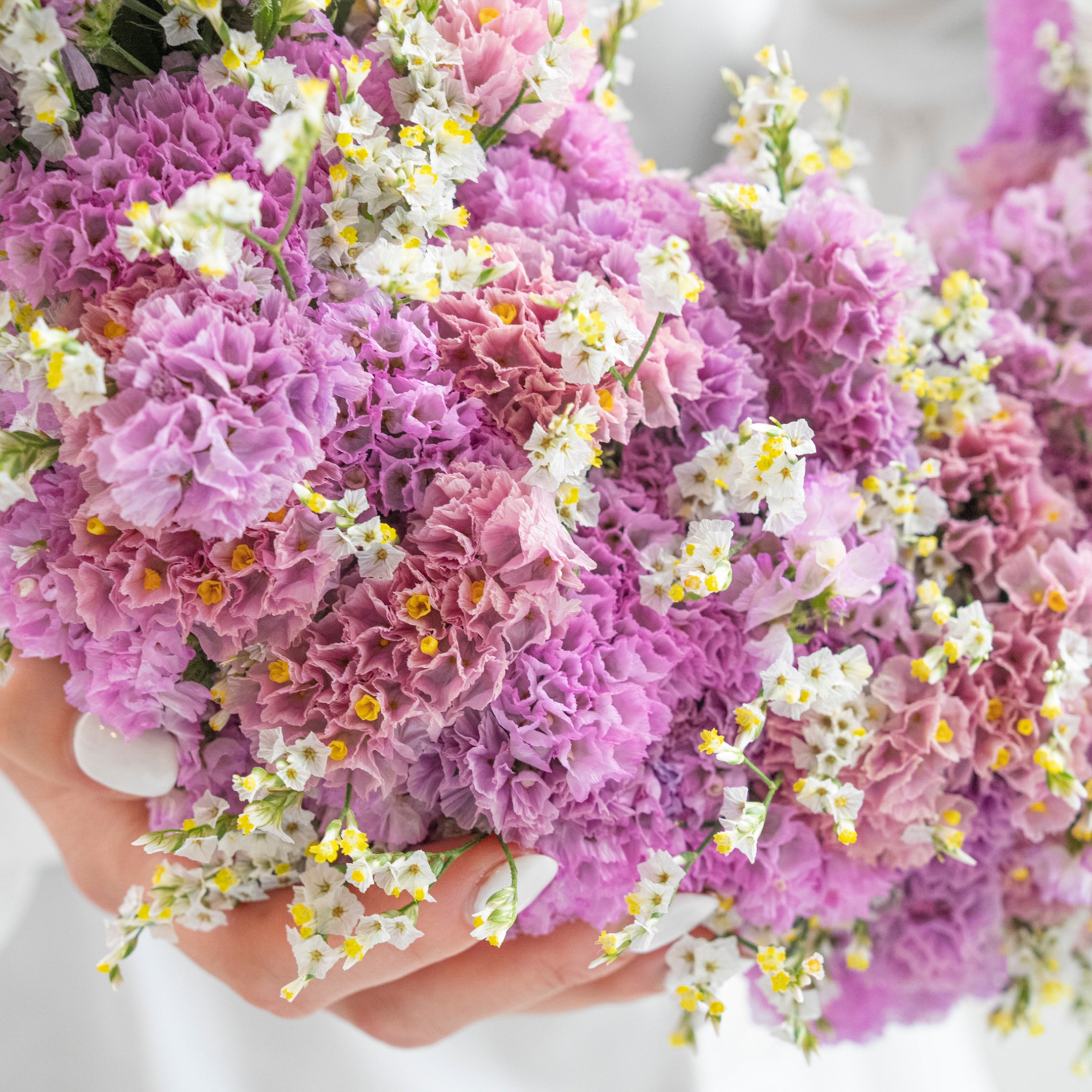 【受注販売】たっぷりのスターチスでつくった母の日リース(生花)