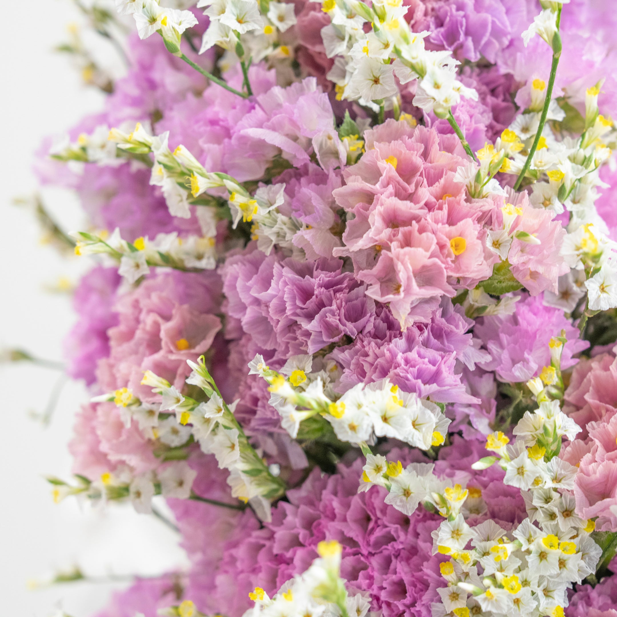 【受注販売】たっぷりのスターチスでつくった母の日リース(生花)