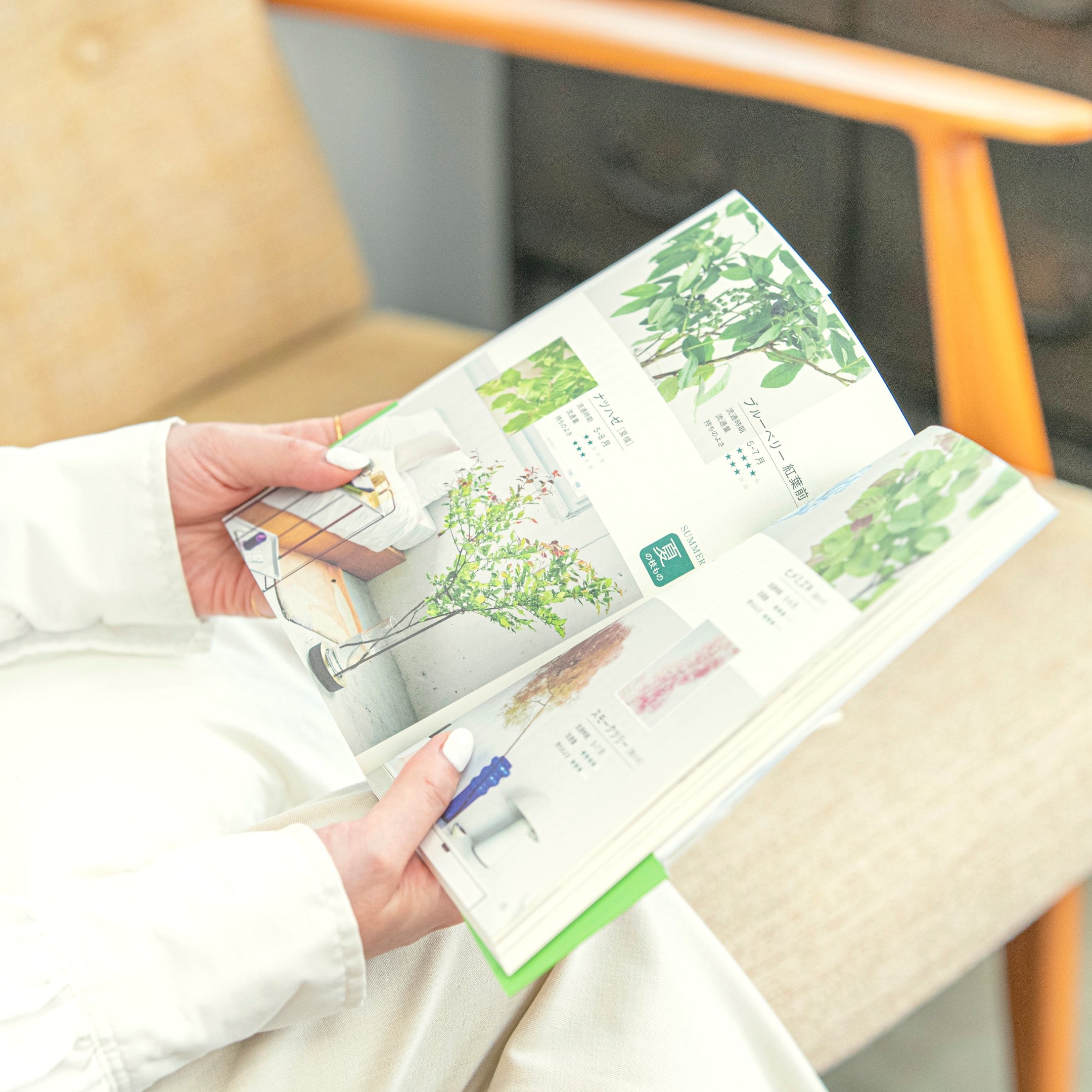 【枝もの書籍】毎日の暮らしを楽しむ四季の「枝もの」