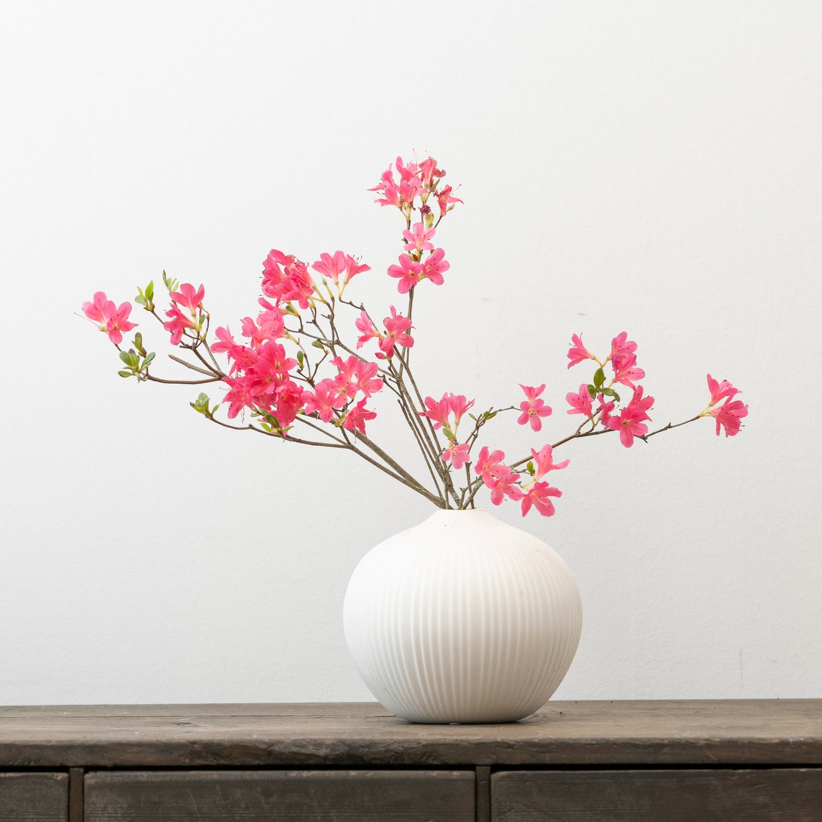 MASH | まんまるフォルムのマットな花器