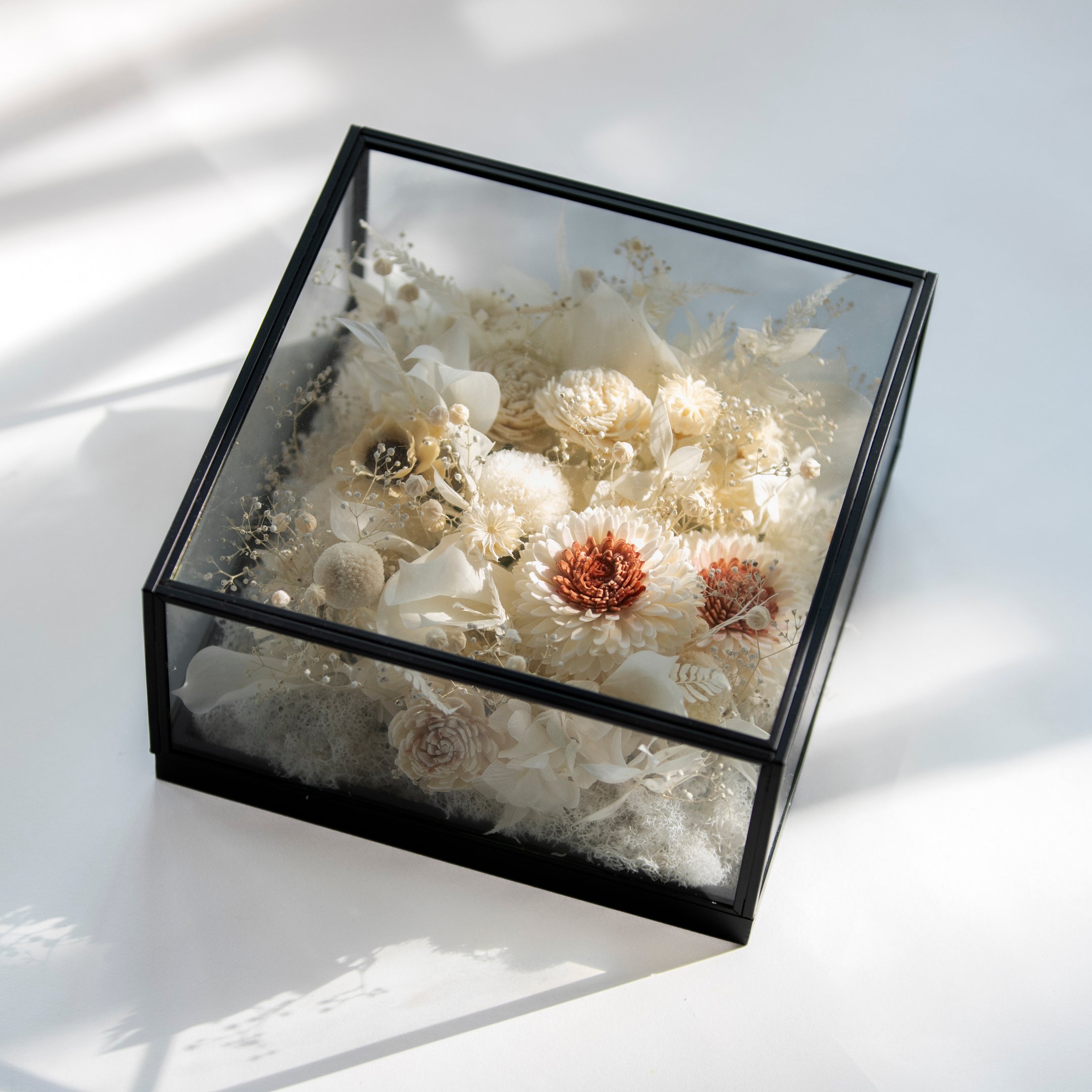 【受注販売】SiKiTO Botanical Case | 美しく時を止めた小庭