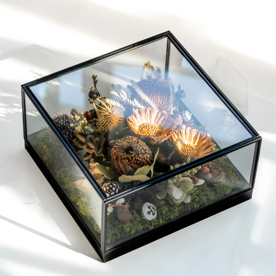 【受注販売】SiKiTO Botanical Case | 美しく時を止めた小庭