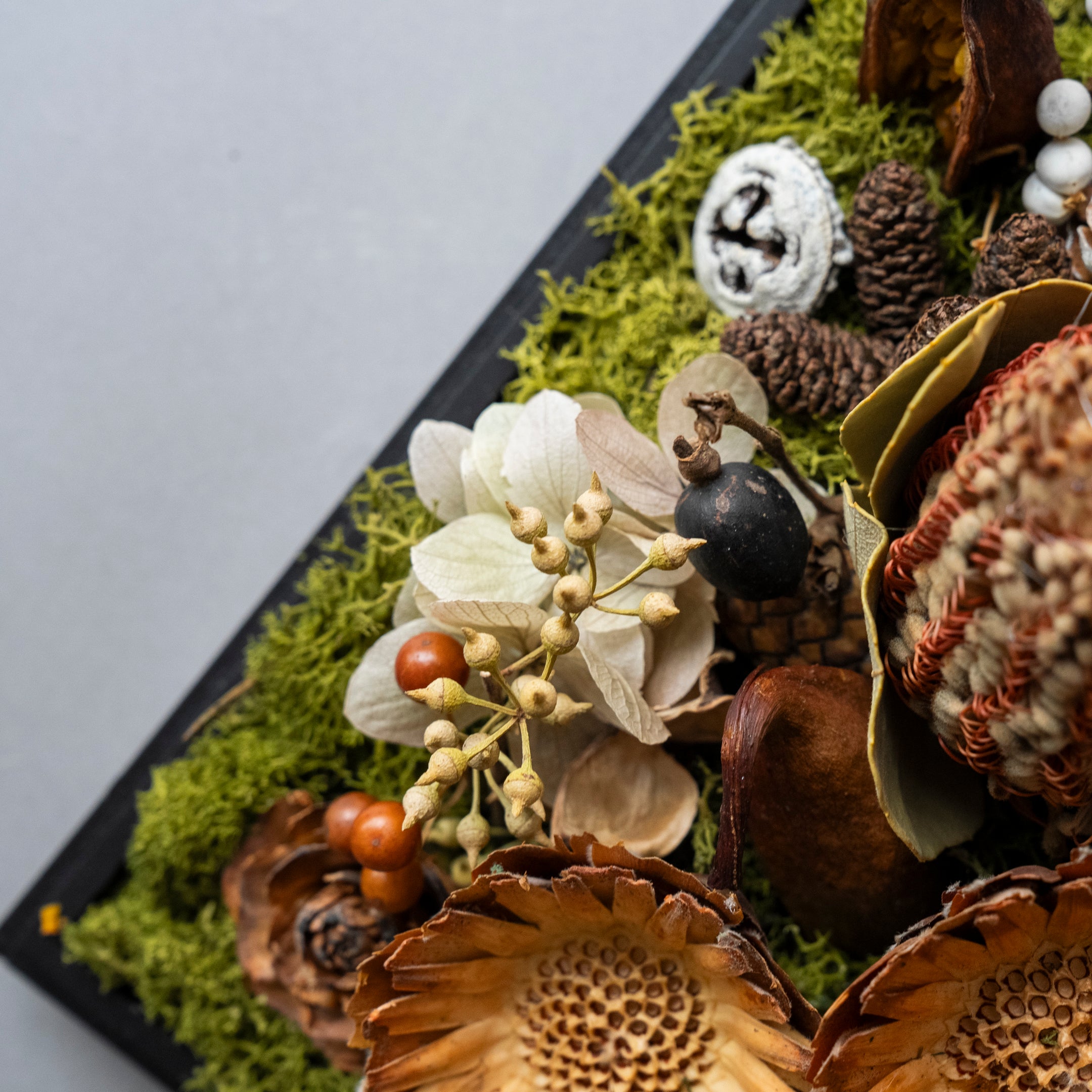 【受注販売】SiKiTO Botanical Case | 美しく時を止めた小庭