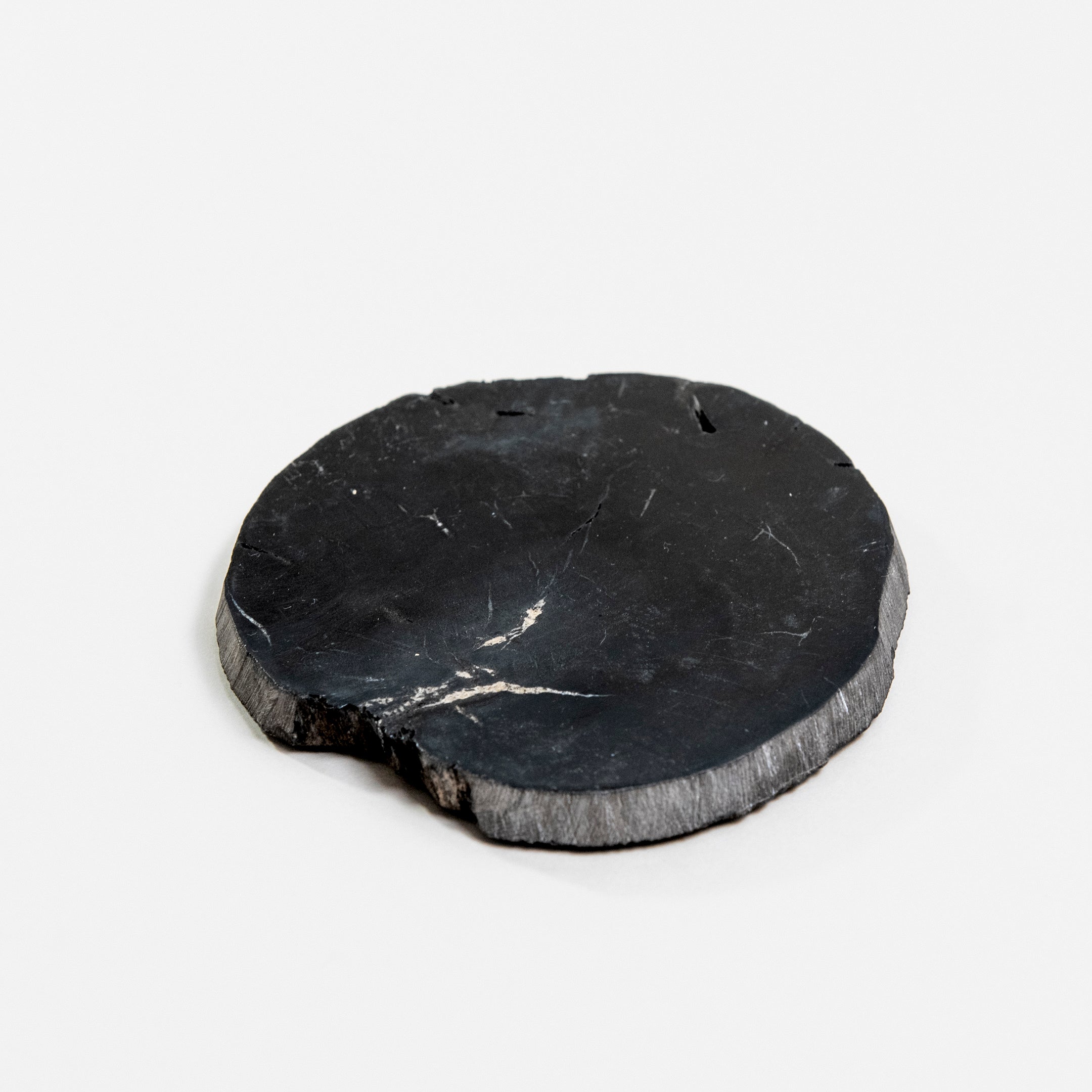 WOOD COASTER | 永い時が育んだ珪化木のコースター