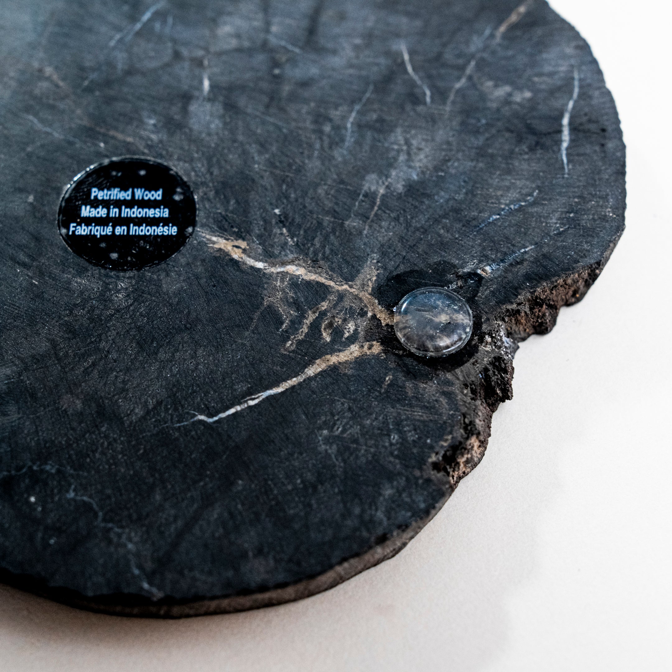 WOOD COASTER | 永い時が育んだ珪化木のコースター