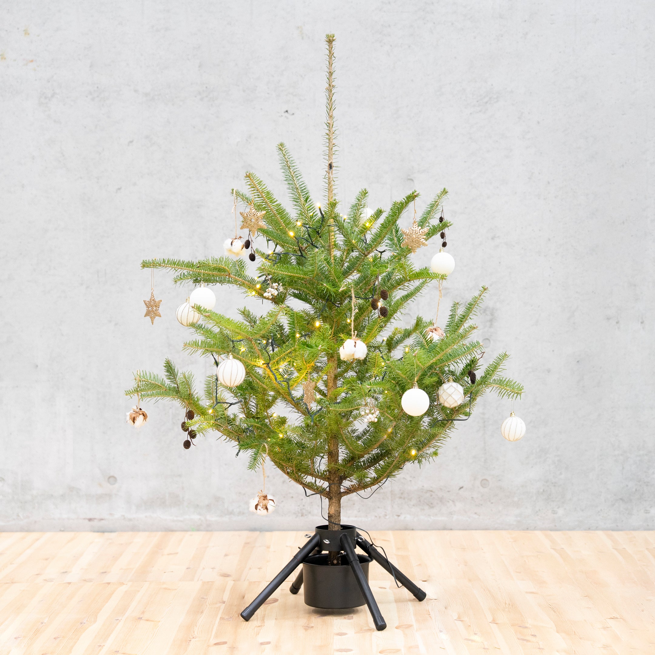 もみの木専用スタンド(単品)