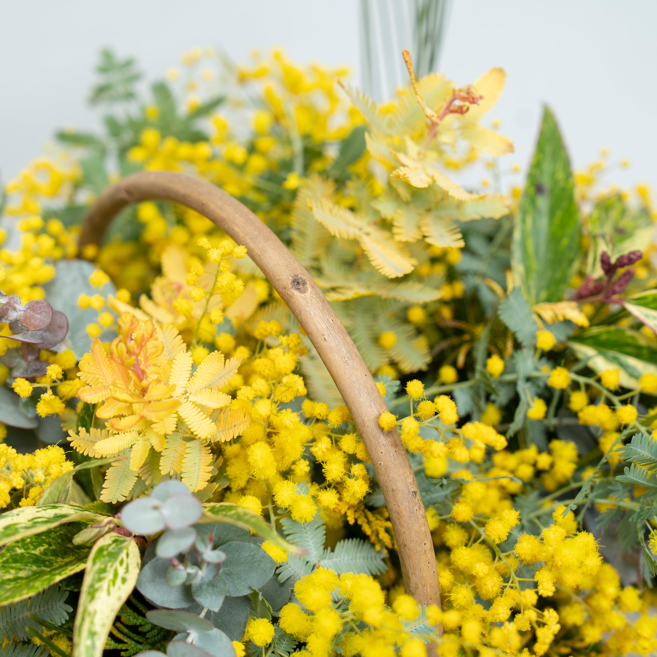 【受注販売】早春の枝ものでつくったミモザバスケット(生花)