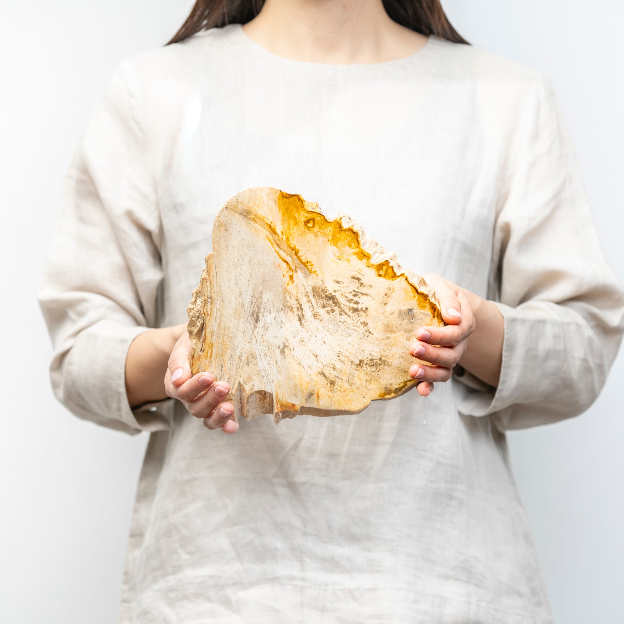 珪化木プレート Mサイズ|永い時が育んだ、扱いやすい一点もの
