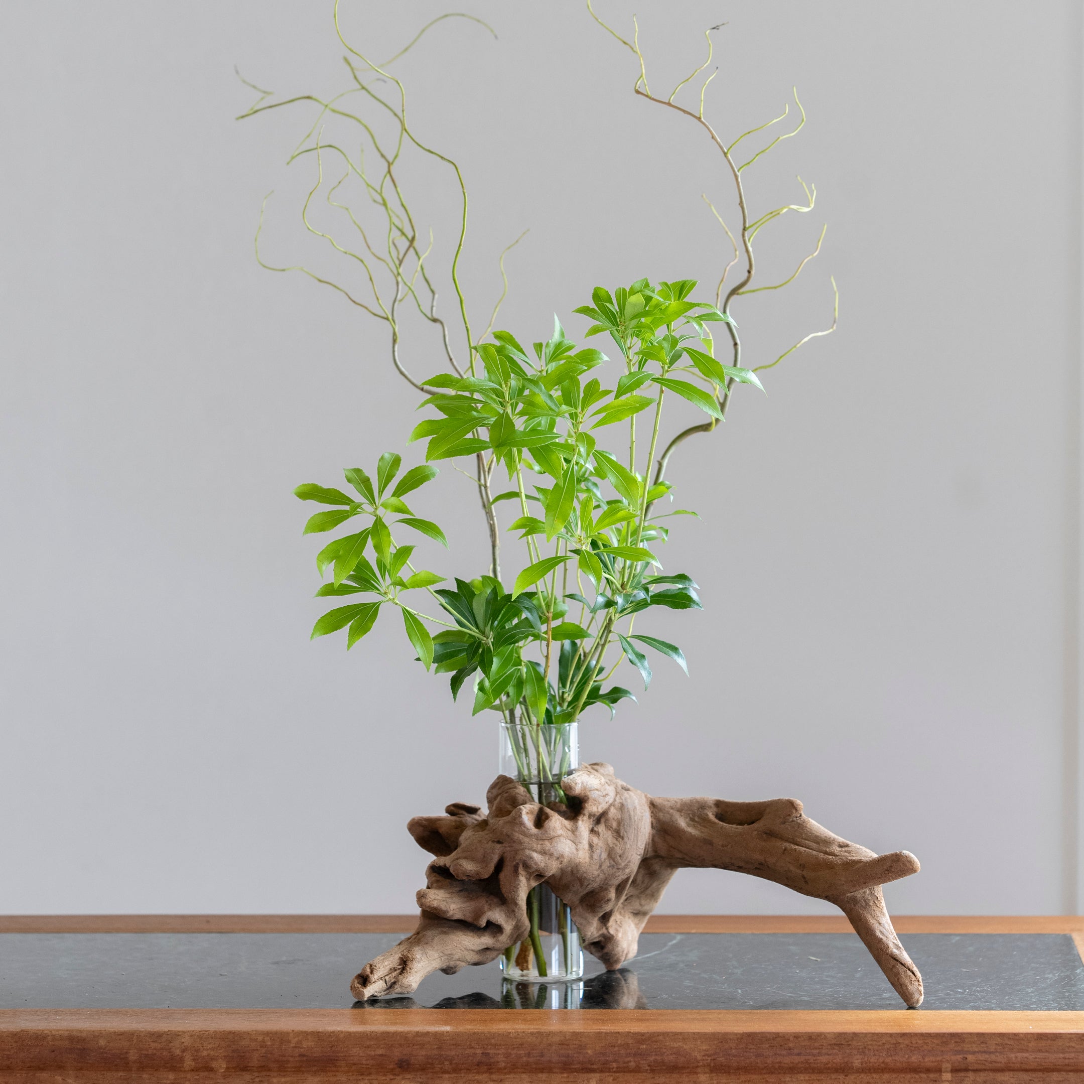 流木花器 KOKU.(高さ15cm)|自然の造形をそのまま生かした一点物の花器