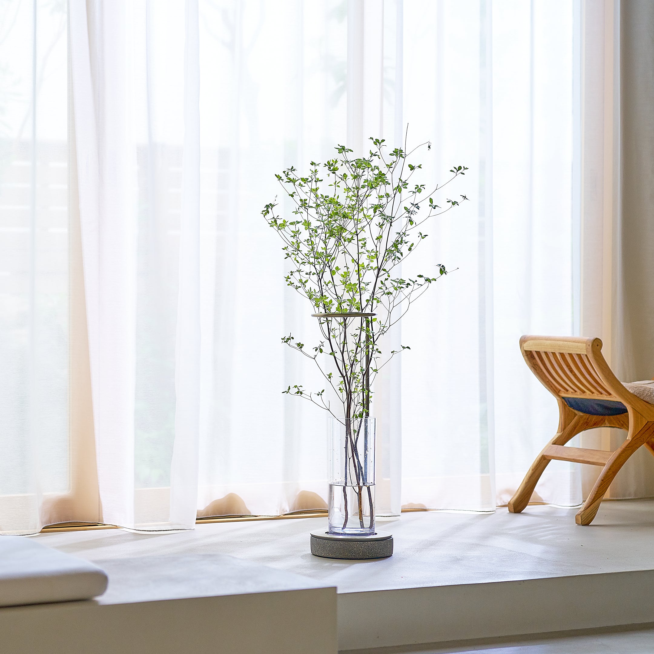 枝もの定期便 100cmプラン | 多彩に飾れるスタンダードサイズ