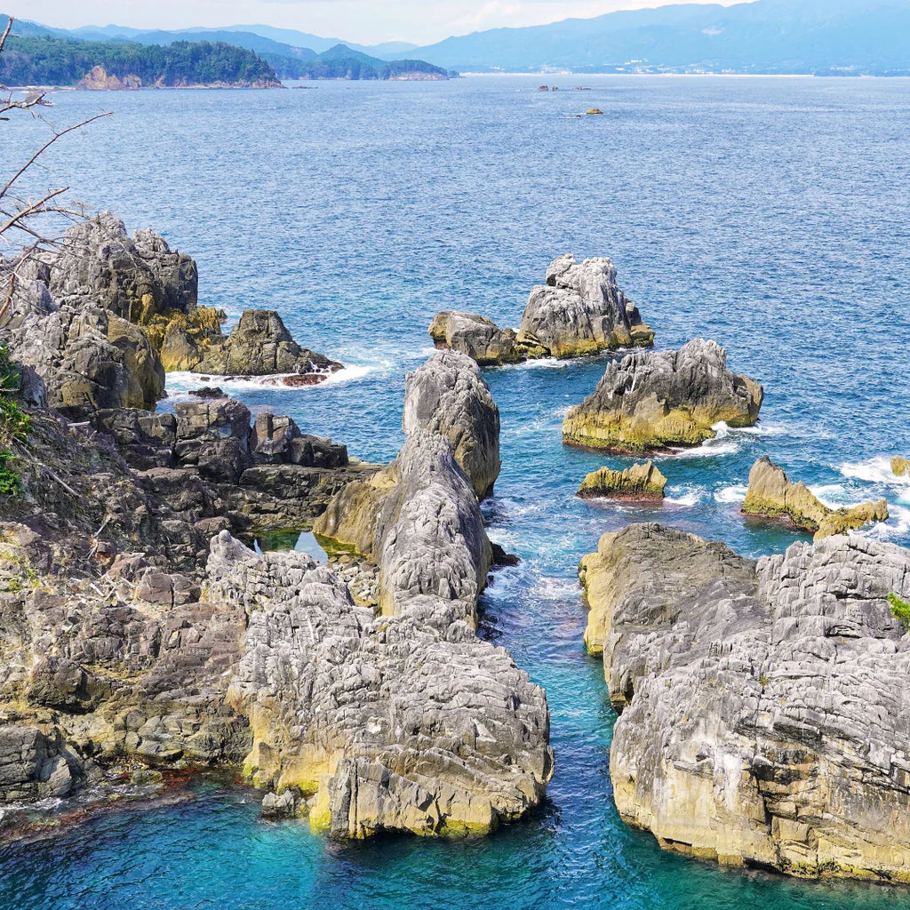 三陸広田湾牡蠣のスタウト | 牡蠣を味わう濃厚ビール
