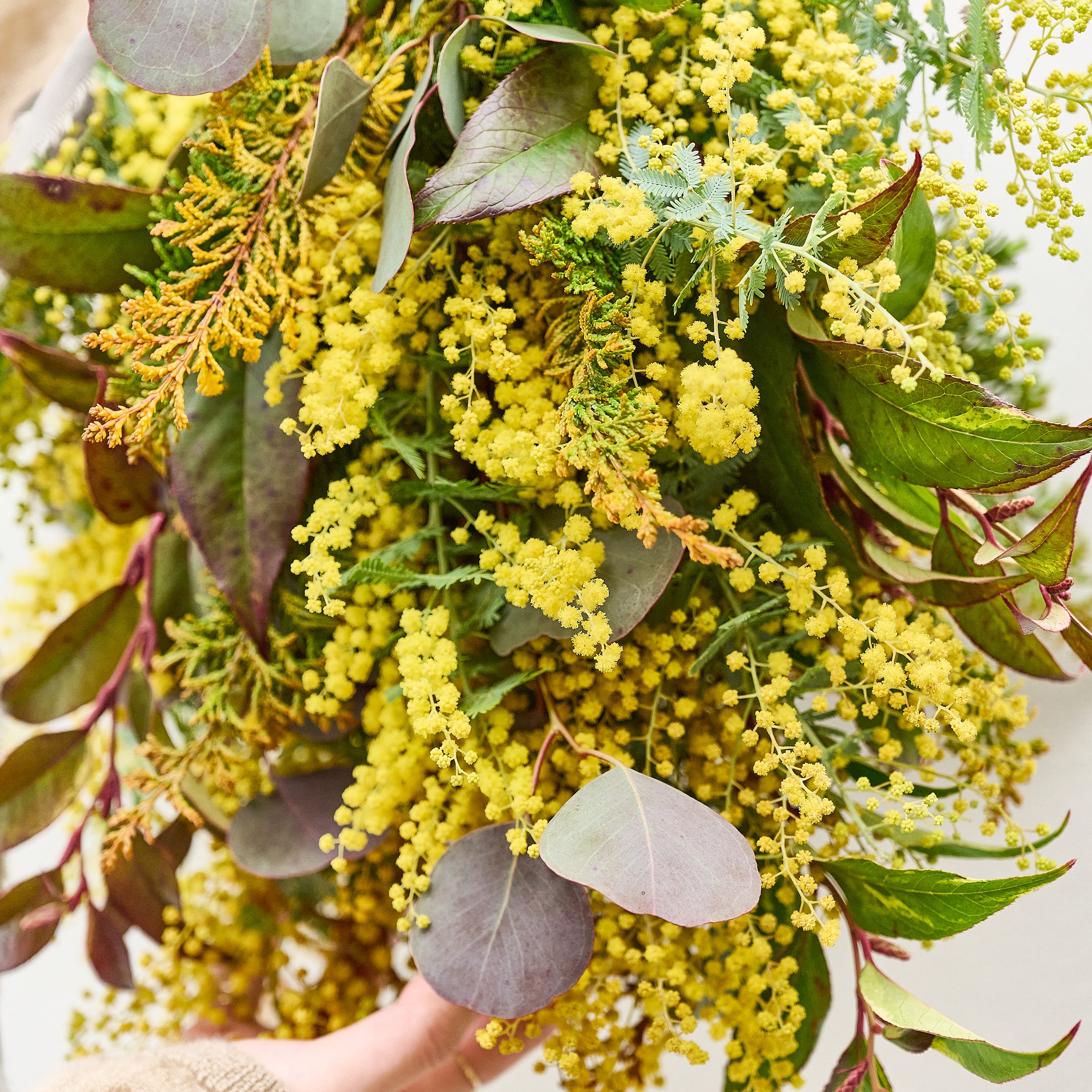 【受注販売】早春の枝ものでつくったミモザスワッグ(生花)