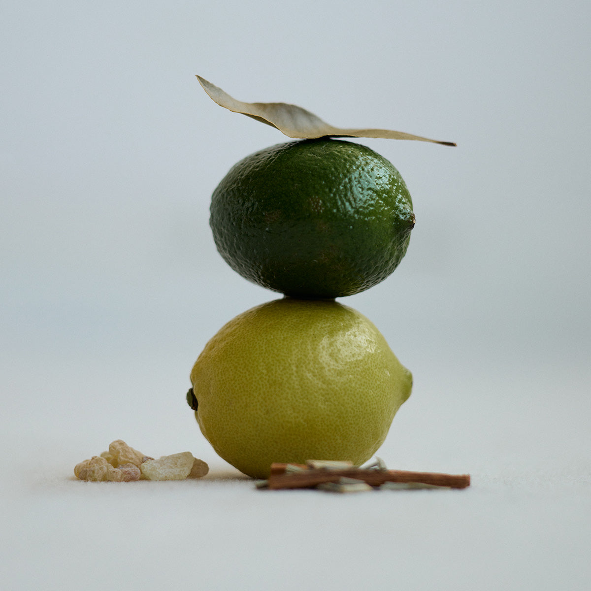 NIOCAN | 精油成分がニオイを瞬間キャンセル