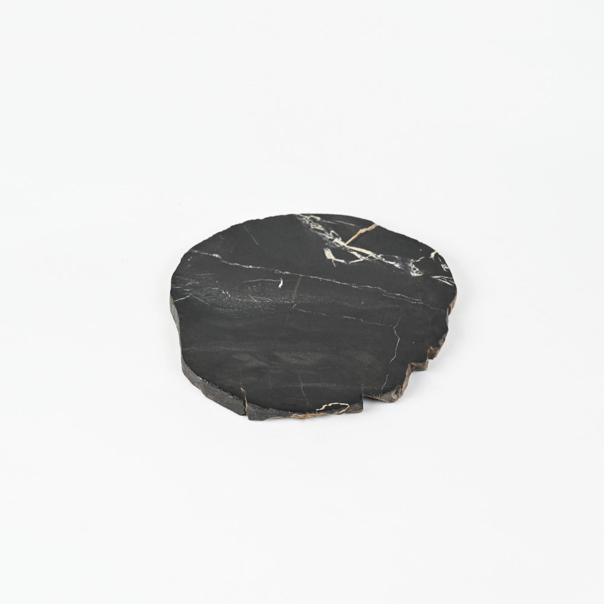 Petrified Wood Plate, Size M | A unique piece, shaped by time, easy to handle