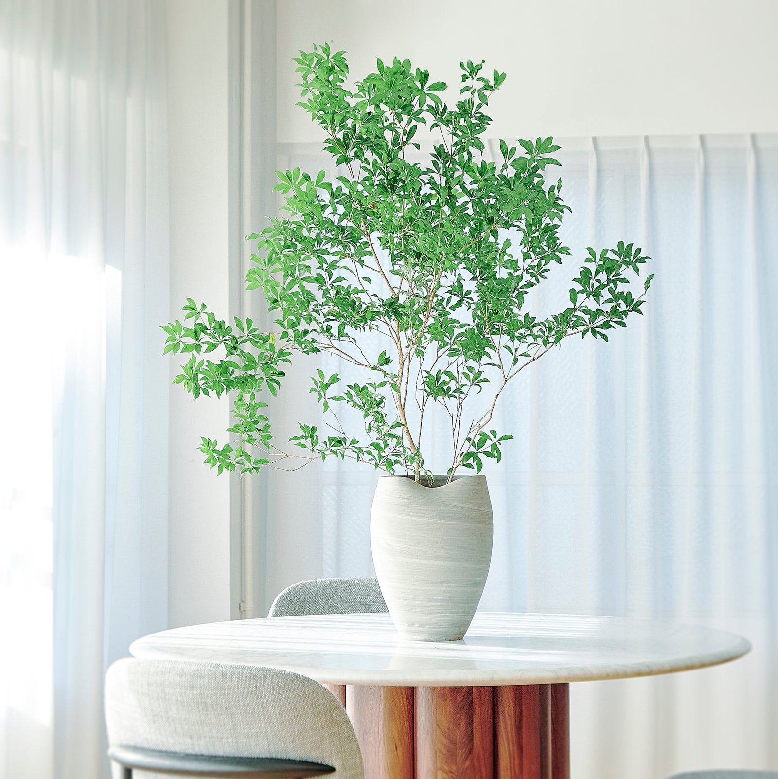 【先行販売】EDA POD ながれ | 水替えしやすい壺型の枝もの花器