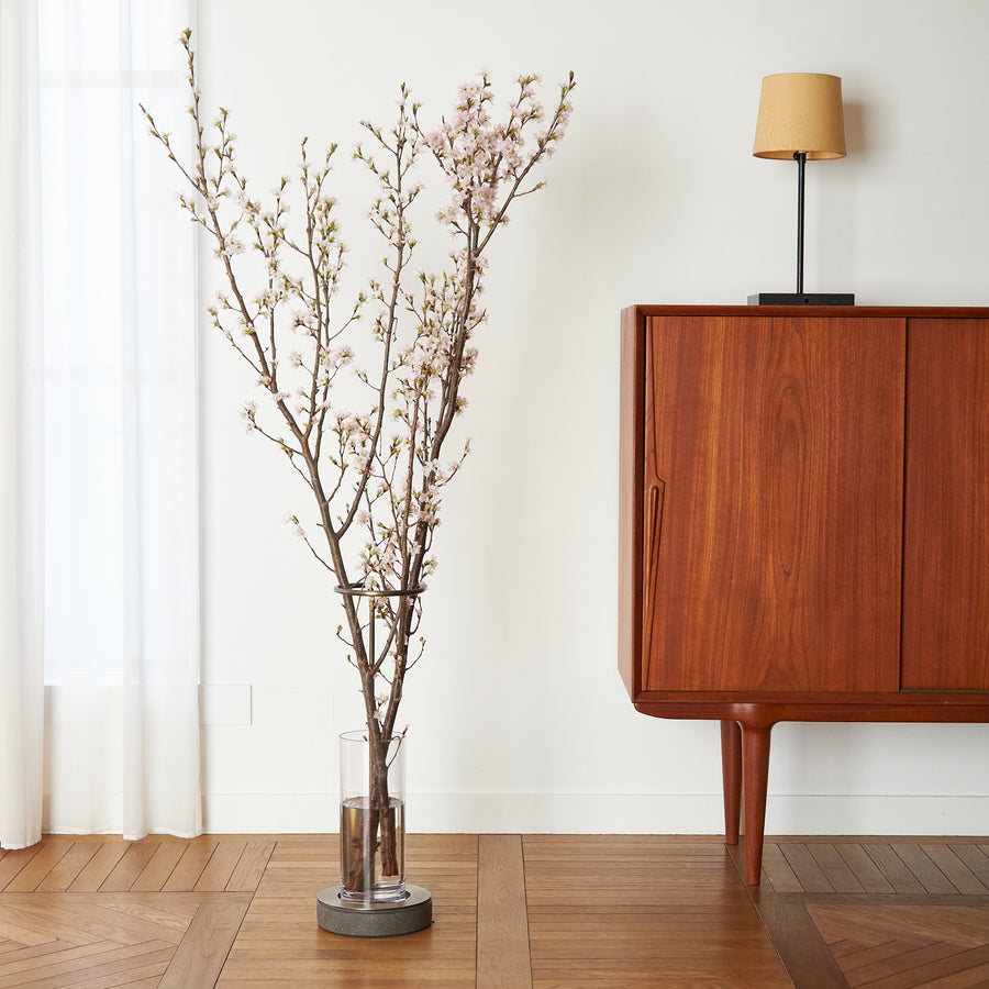 枝もの定期便 140cmプラン | 空間の表情を変えるシンボルサイズ