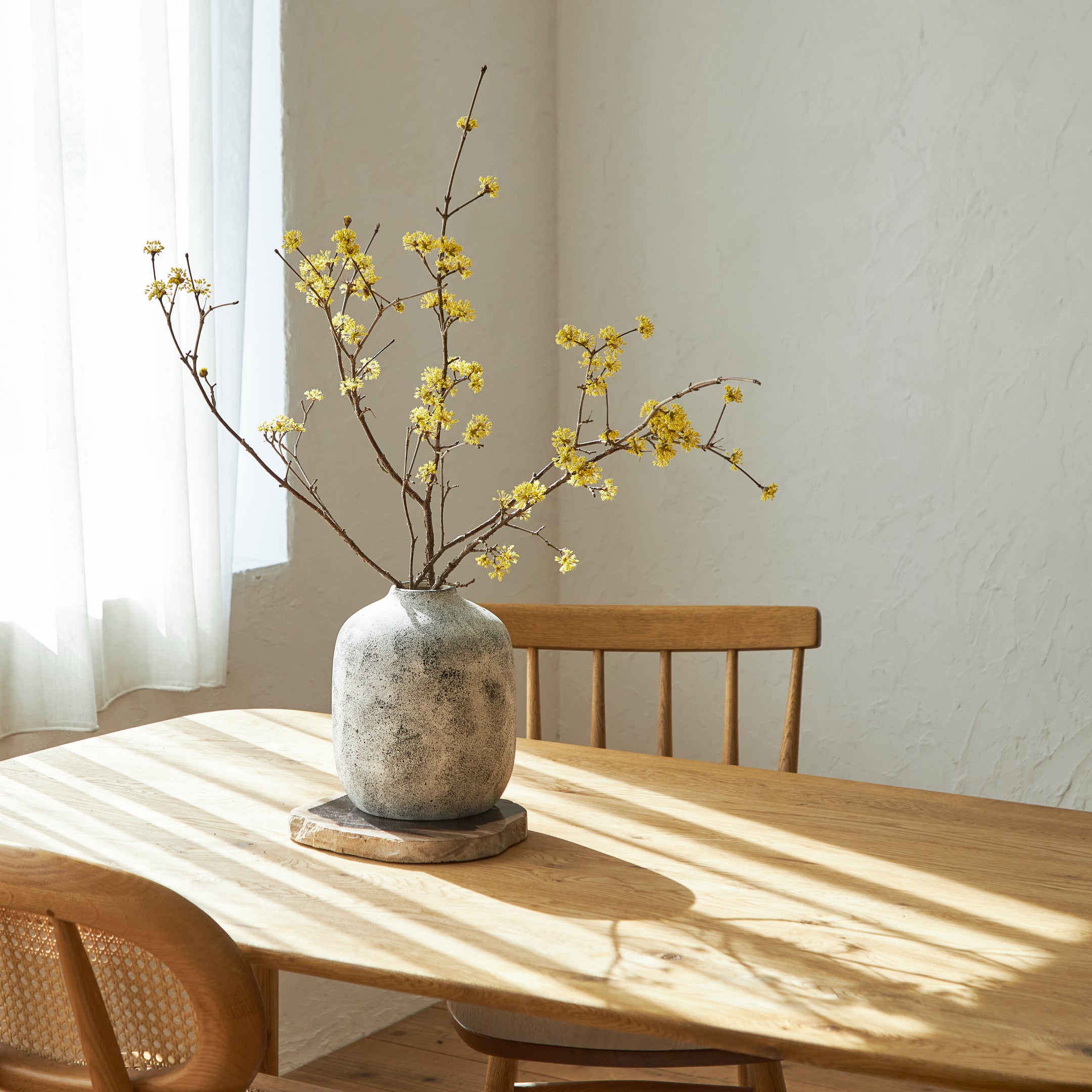 KASUMI | Branch vase with nuanced expression