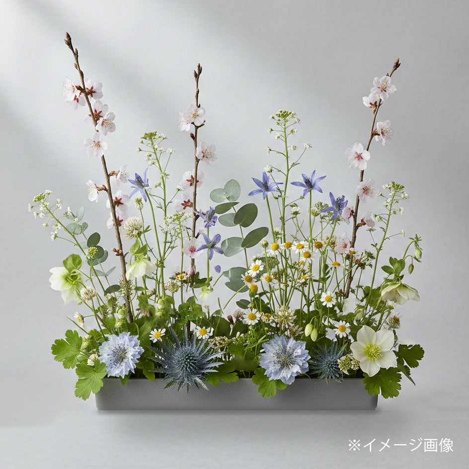 四季とフラワーアレンジレッスン《3月:桜と春のパラレルアレンジ》@SiKiTO CAFE 日本橋店 / 幕張店