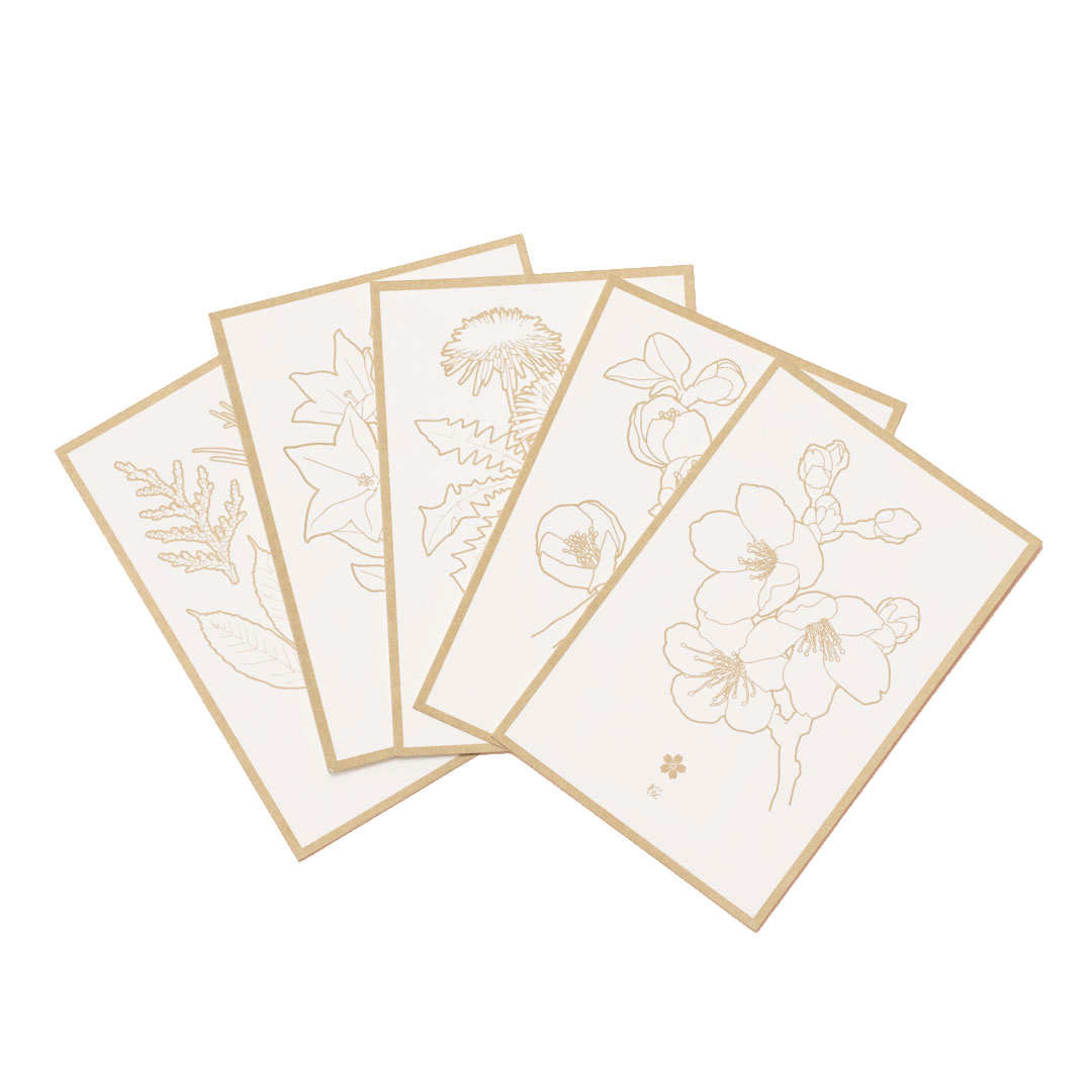 花色鉛筆 ポストカード | 花の色を塗って送って楽しむ