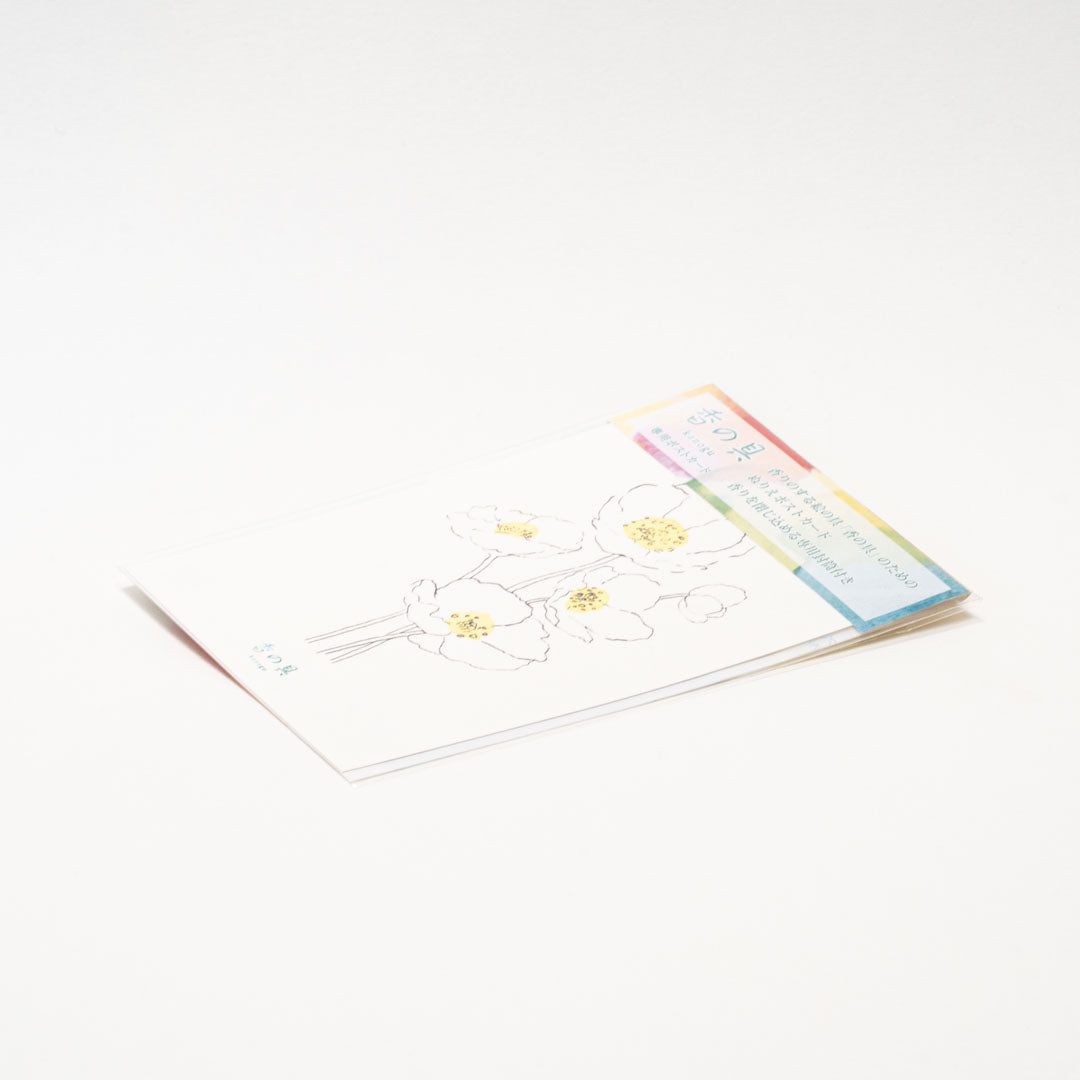 香の具 ポストカード | 精油の香りと塗り絵を楽しむ