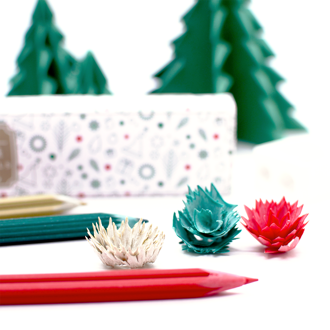 花色鉛筆 Christmas edition | クリスマスカラーの花びらが生まれる色鉛筆