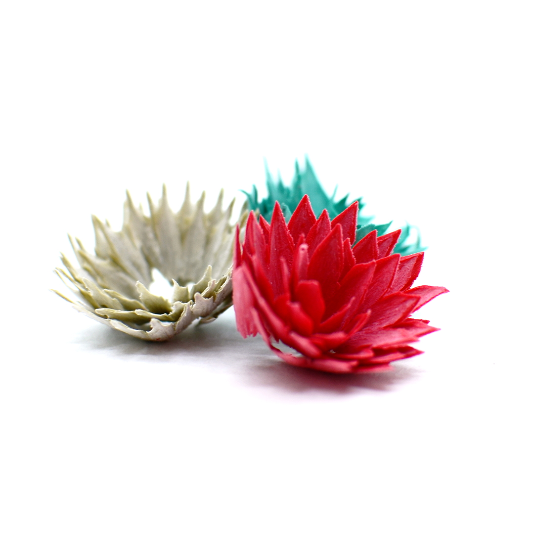 花色鉛筆 Christmas edition | クリスマスカラーの花びらが生まれる色鉛筆