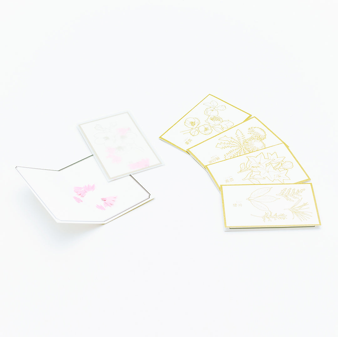 花色鉛筆 メッセージカード | 大切な人へのギフトに添えて