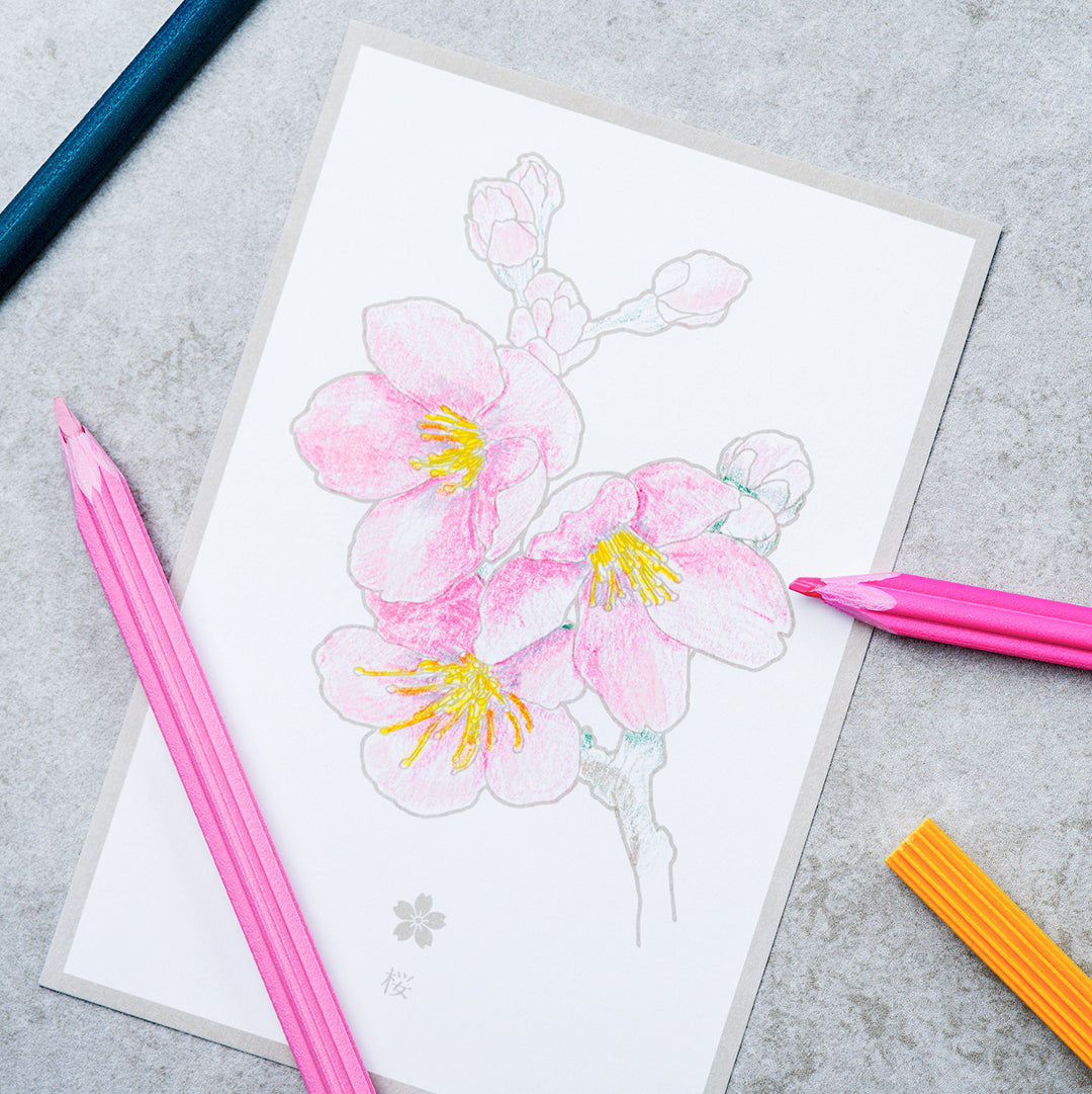 花色鉛筆 ポストカード | 花の色を塗って送って楽しむ