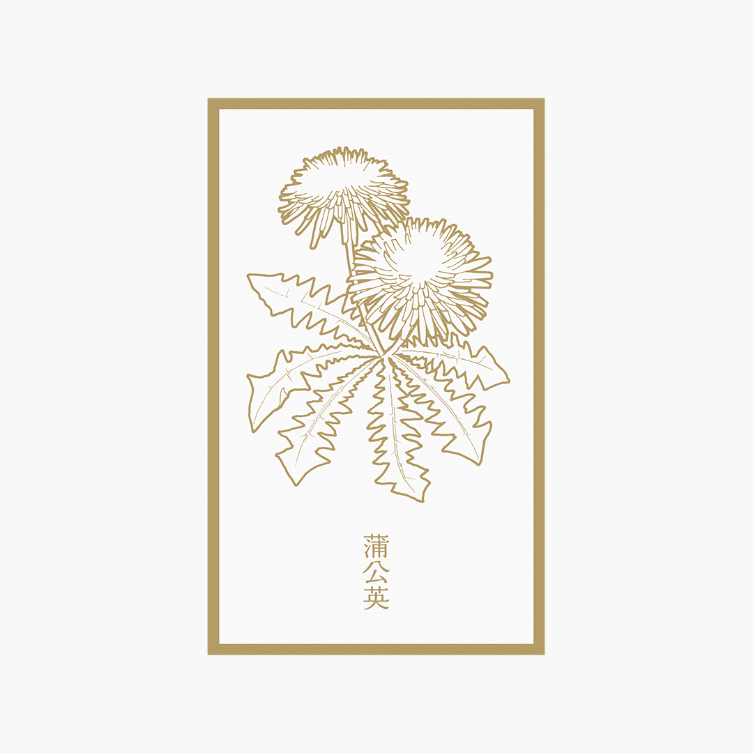 花色鉛筆 メッセージカード | 大切な人へのギフトに添えて