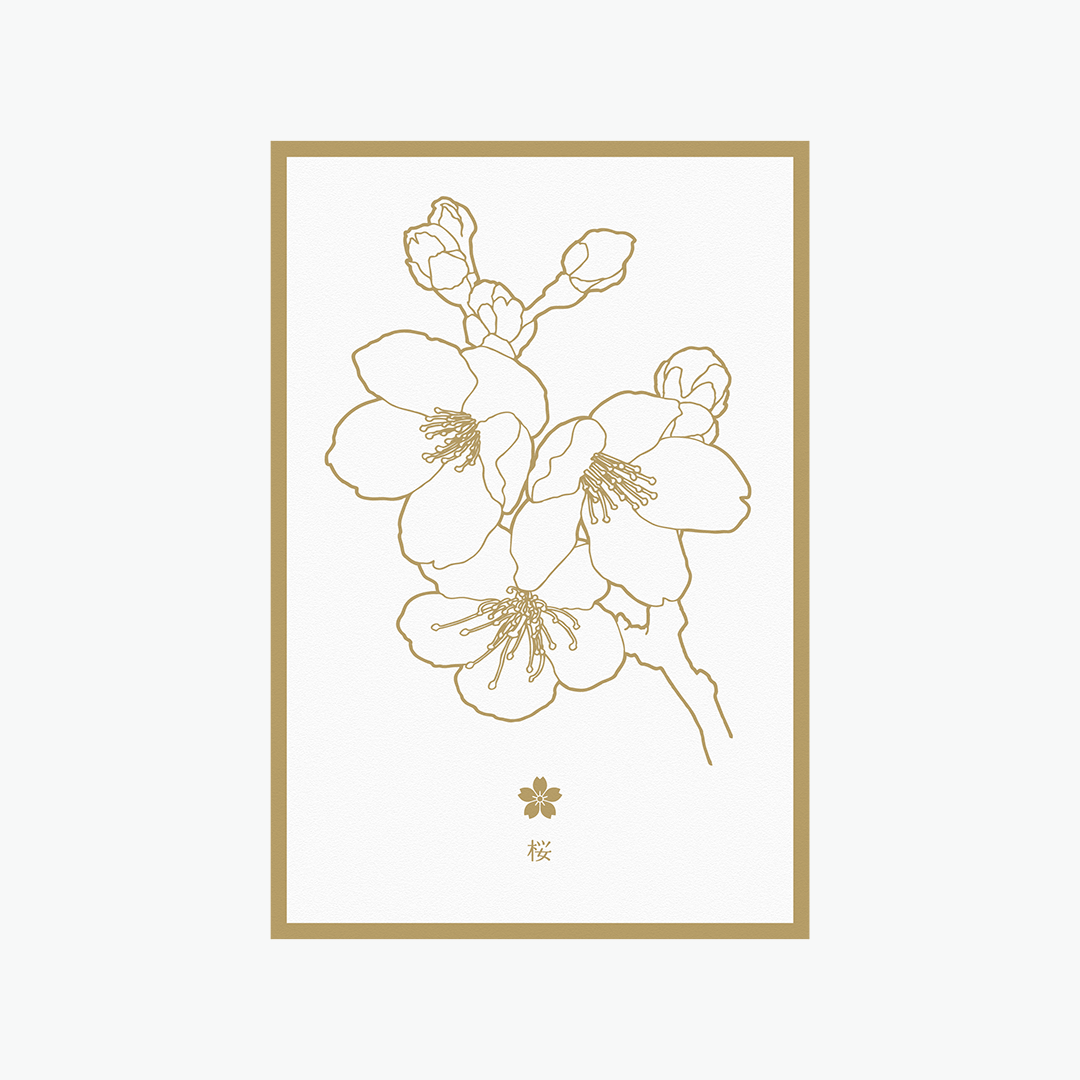 花色鉛筆 ポストカード | 花の色を塗って送って楽しむ