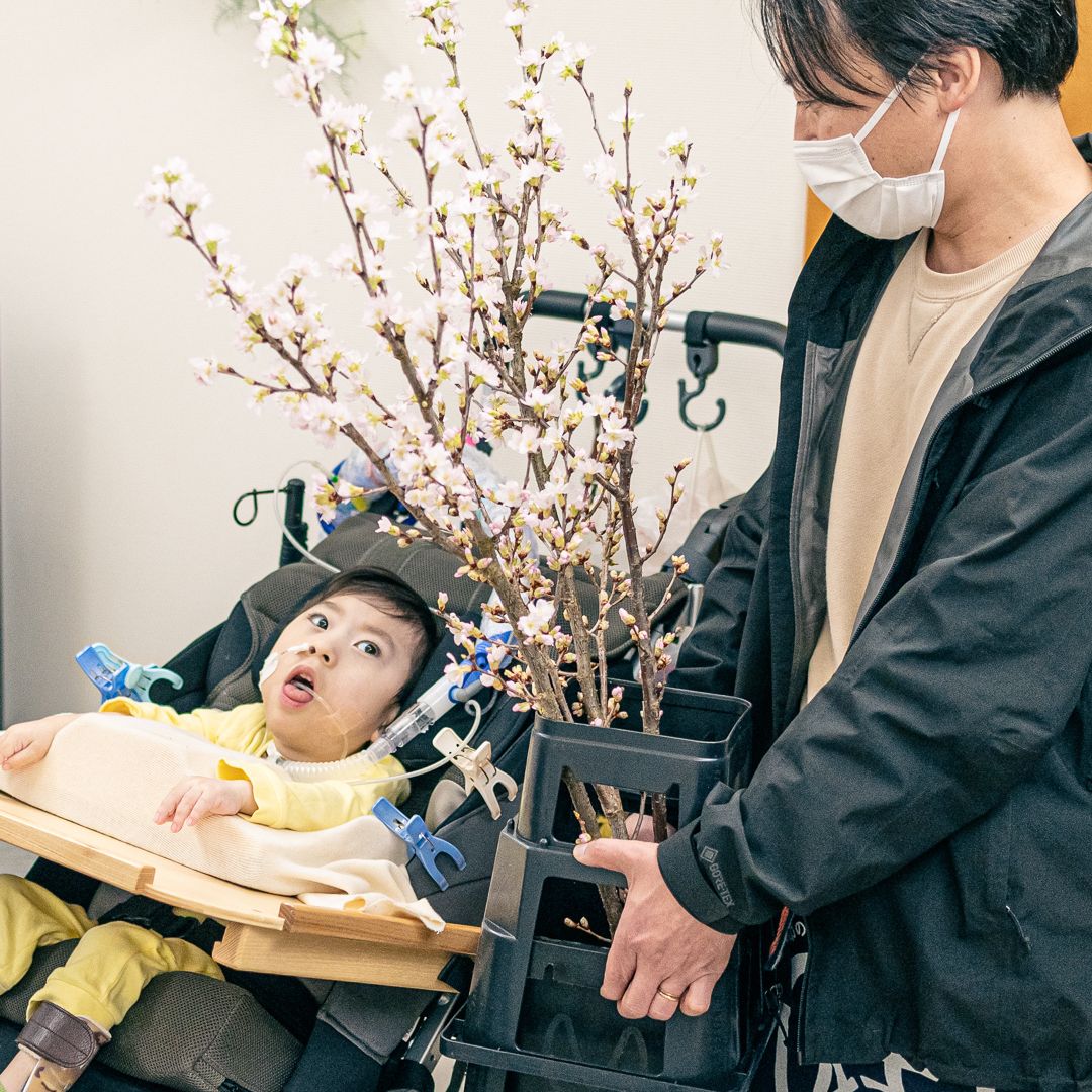 「桜配りプロジェクト」実施