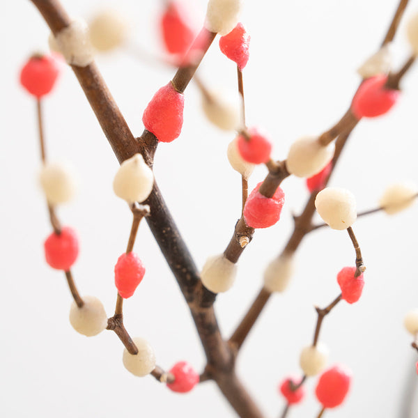 【枝もの図鑑｜冬】花餅「なみだ」