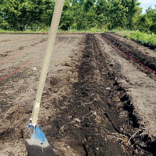 【枝もの自社栽培】群馬県中之条町での初夏の枝もの植え付け作業｜2025年8月