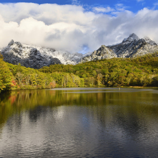 【二十四節気】小雪（しょうせつ）
