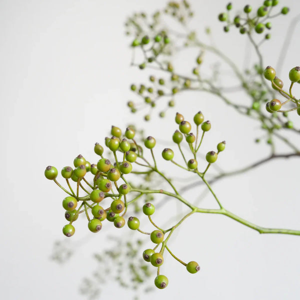 野バラの特徴と飾り方｜秋に緑から赤に色づく、可愛らしい実をつける枝もの