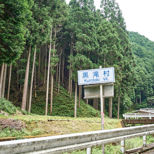 【枝もの産地訪問】林業従事者の新たな収入源に 奈良県黒滝村でのアセビ産地形成