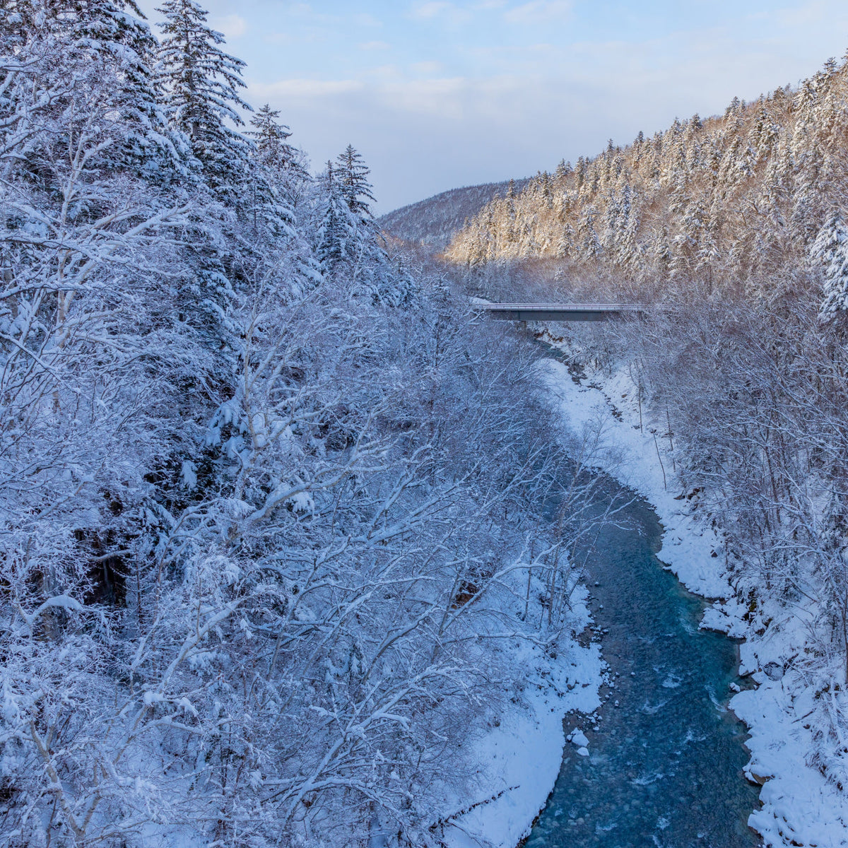 【二十四節気】大寒（だいかん）
