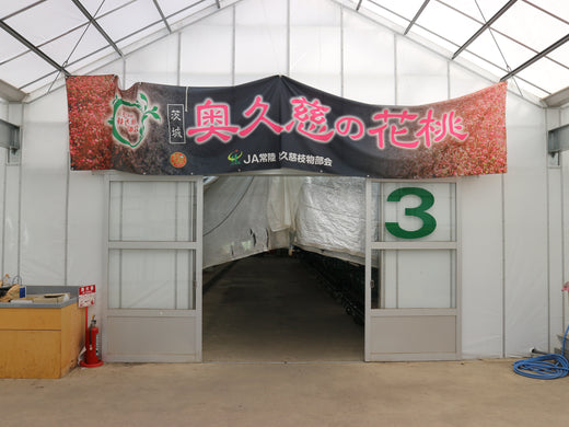 【枝もの産地訪問】地域ぐるみで成長をつづける JA常陸 奥久慈枝物部会