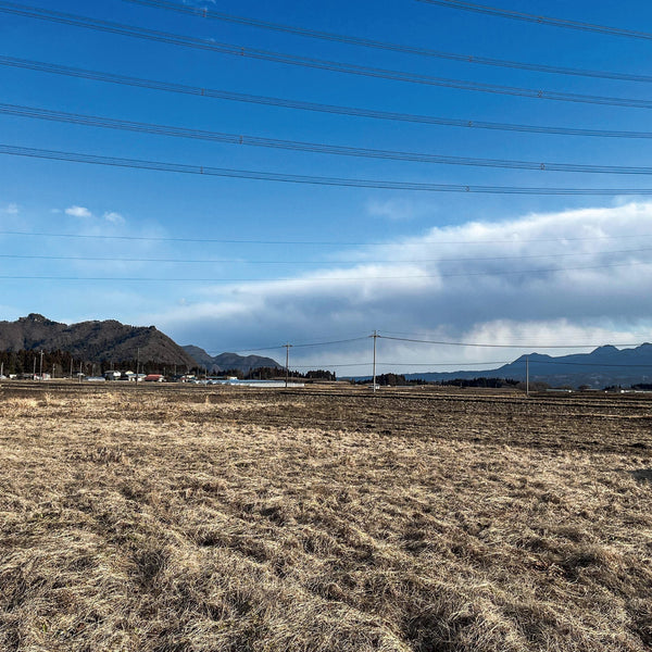 【枝もの自社栽培】群馬県吾妻郡中之条町でも、枝もの自社栽培スタート！｜2025年3月