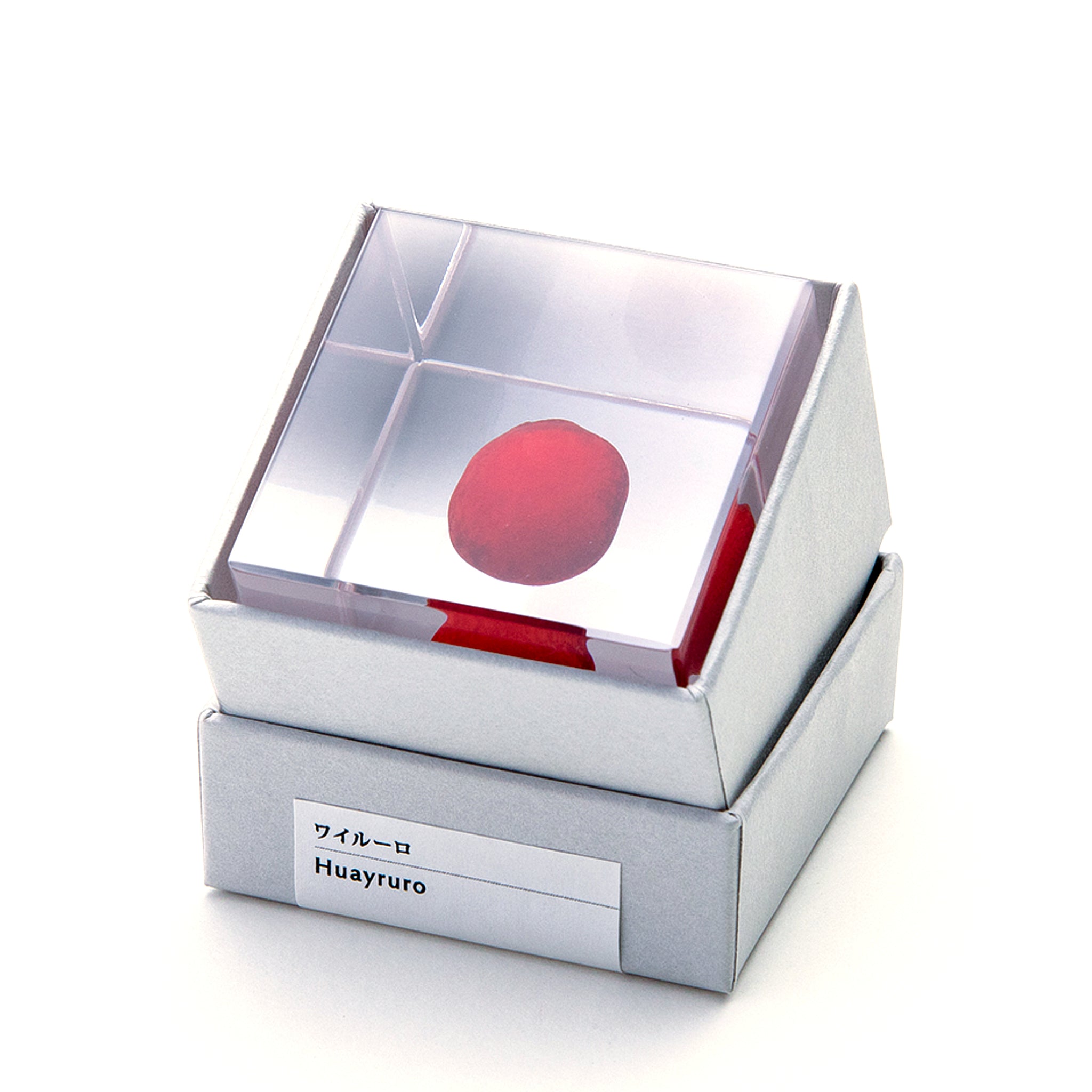 Sola cube / 冬 ｜ 静かに時を止めた植物のかたち