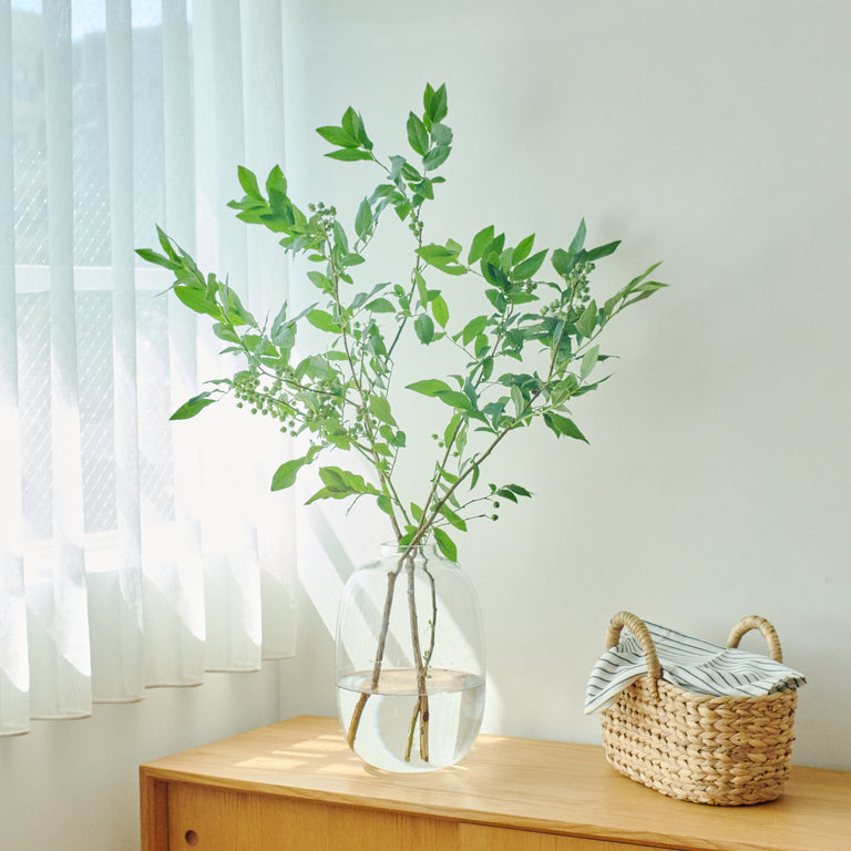 枝ものや花器、ケア用品・グッズ｜SiKiTO公式オンラインストア