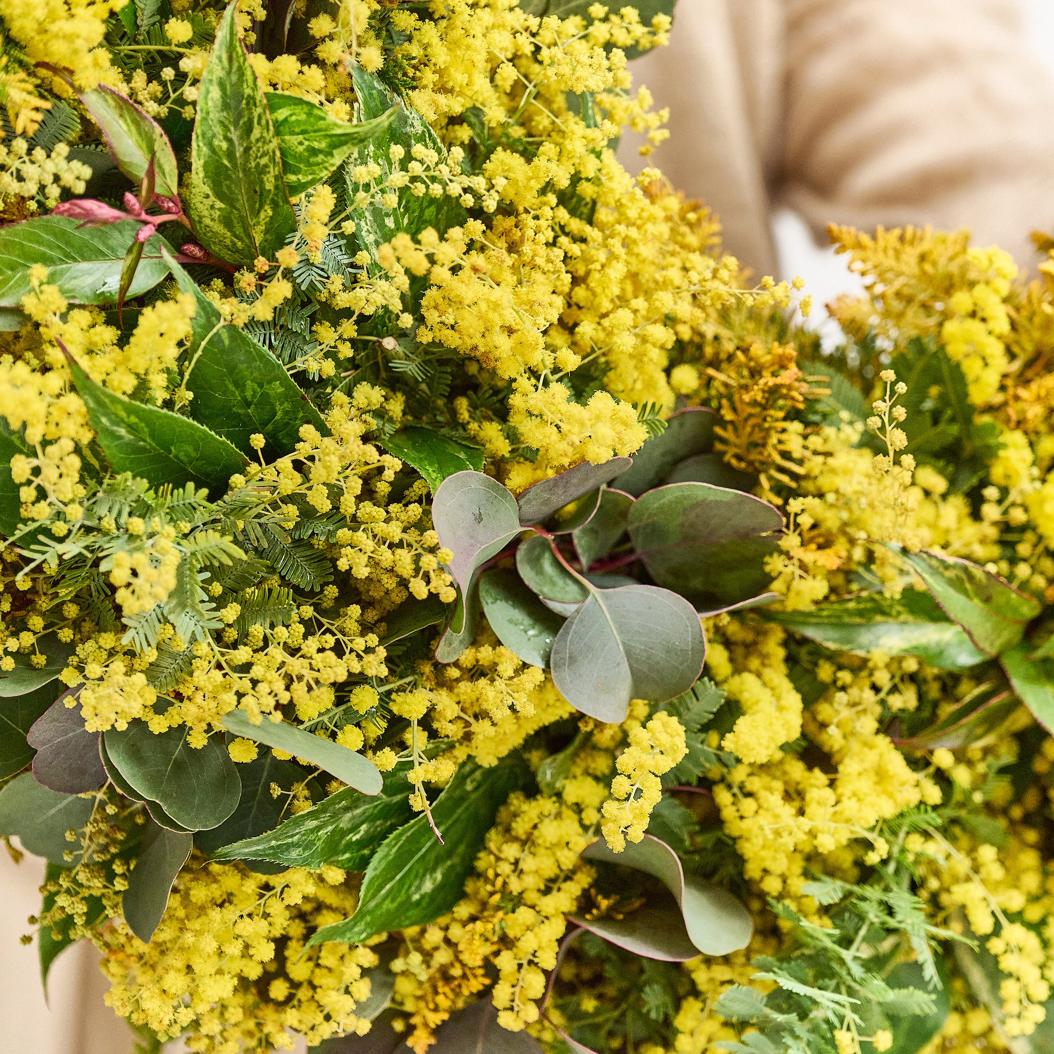 【Made to order】Early spring mimosa wreath (fresh flowers)
