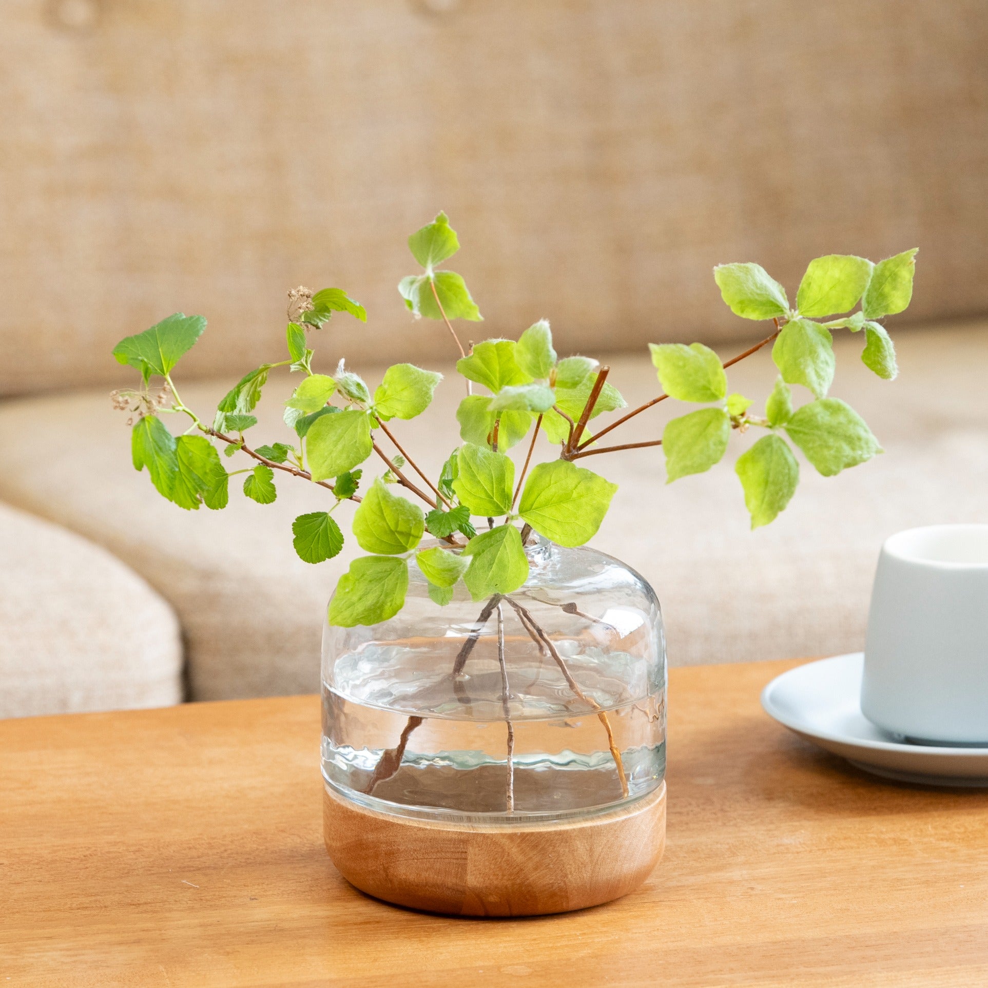 シナリーウッド＆ガラスベース ｜ マホガニーのぬくもりとガラスの質感を愛おしむ花器